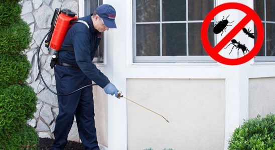 Senirkent Karınca İlaçlama böcek ilaçlama ve haşere kontrolü — ilaclama-tr.com